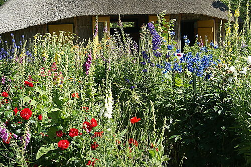 Dicht bepflanzter Blumengarten von Ada und Emil Nolde in Seebüll mit hoch wachsenden Stauden und farbenreichen Sommerblumen.