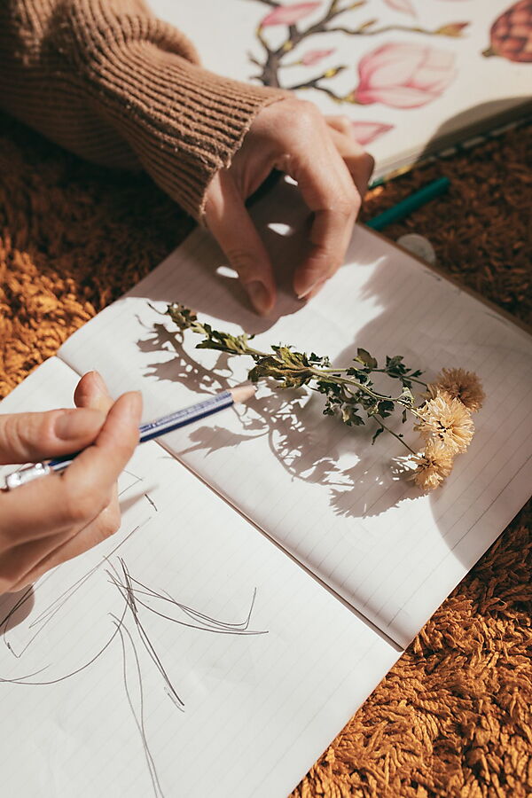 Hände zeichnen mit Bleistift in ein Skizzenbuch, daneben liegen getrocknete Blumen als Vorlage.